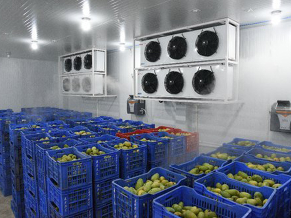 Sala da frutto e vegetazione --- 240 tonnellate