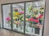 Fresh flower freezer
