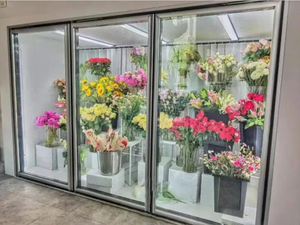 Fresh flower freezer