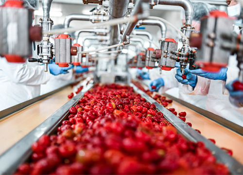 Piante di elaborazione alimentare