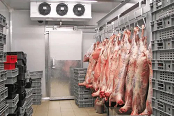 beef-solutions