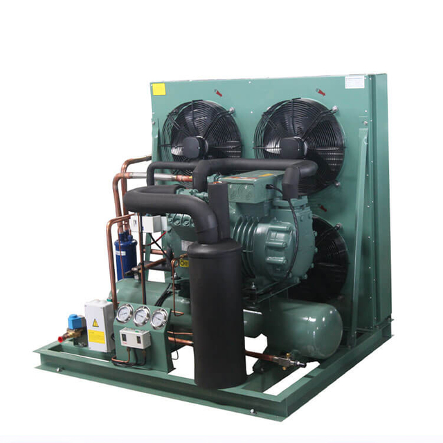 Bitzer Cold Room Condensing Unit