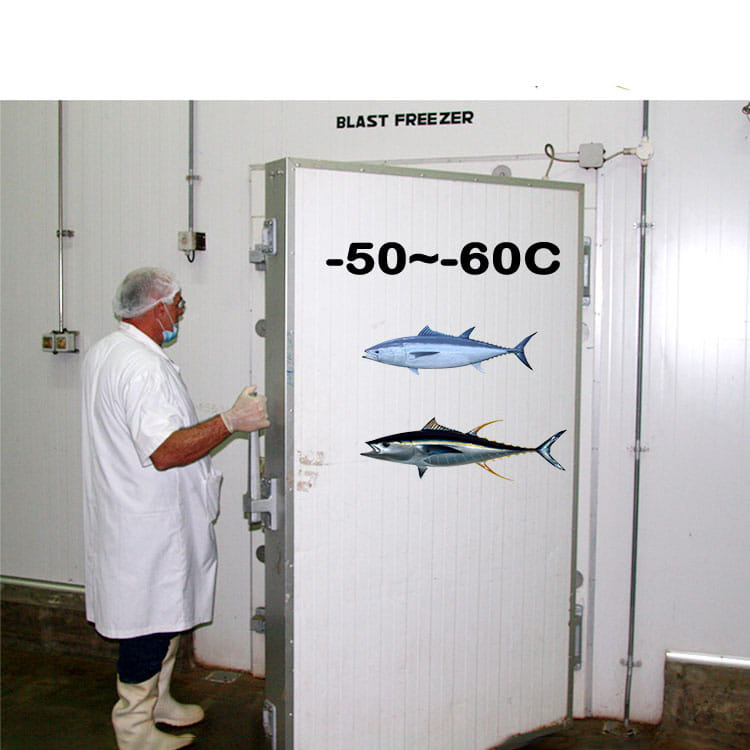 tuna2