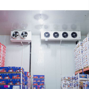 Walk in Freezer