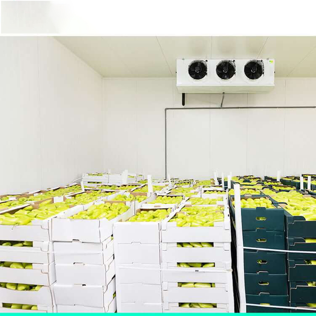 Cold storage for food