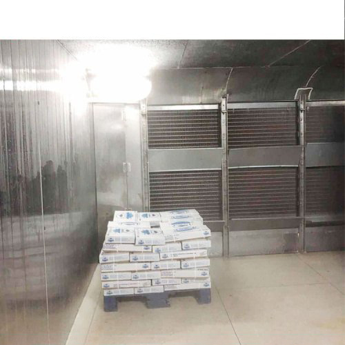 Blast freezer