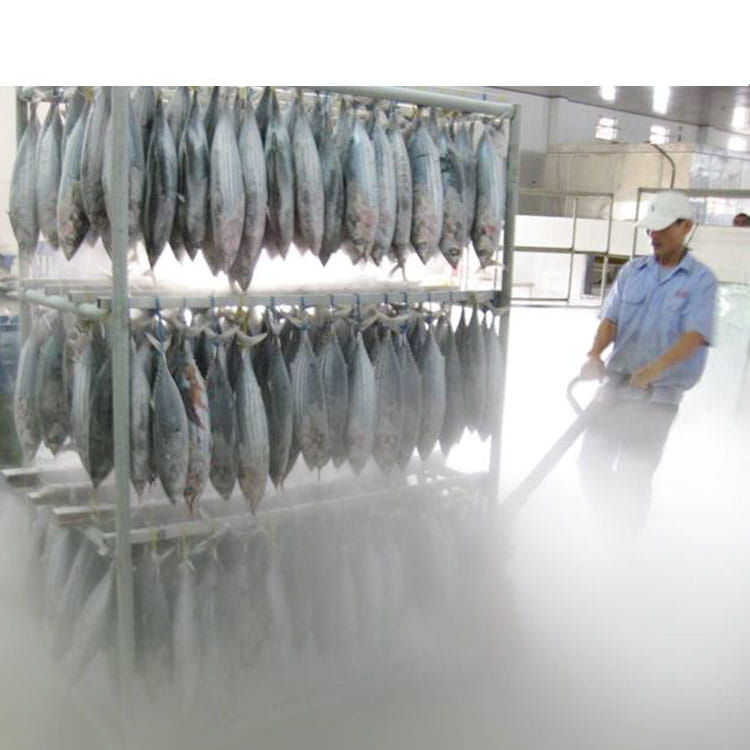 tuna