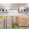 vegetable and fruit cold storage
