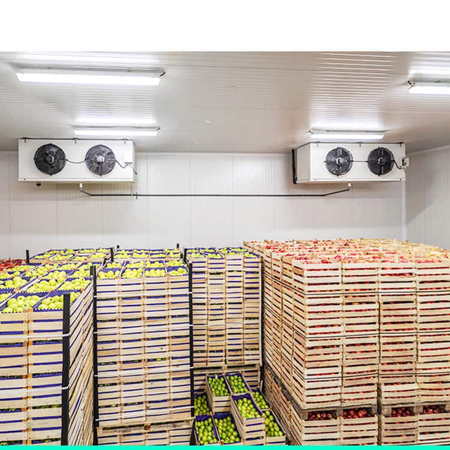 vegetable and fruit cold storage