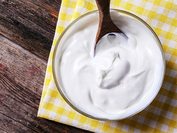 Dairy-Solution