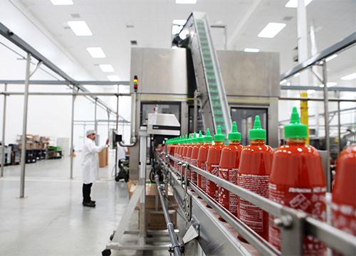 condiment-and-sauce-dounturinging