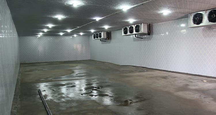 cold-room-with-screw-compressor-unit