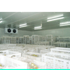 potato cold storage