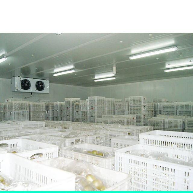 potato cold storage