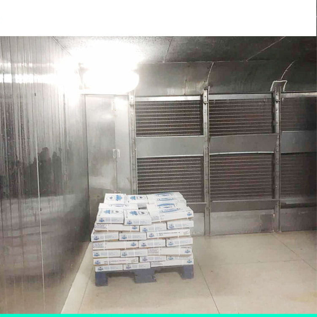 frozen cold storage