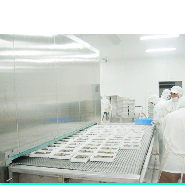 Tunnel freezer
