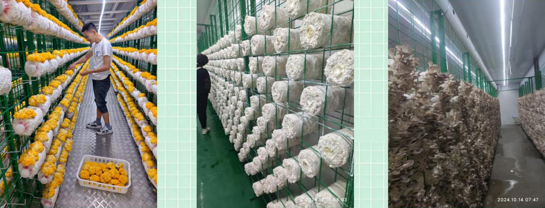 微信图片_20251105172709_253_90