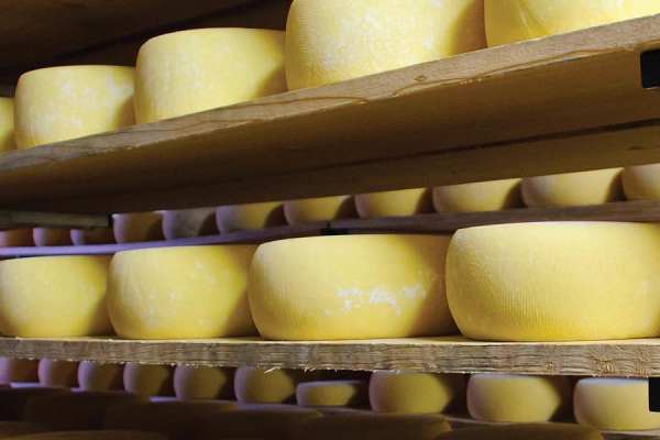 Cheese-solution