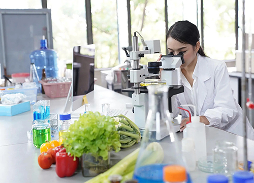 Ricerca-e-laboratorie