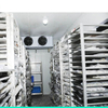 Deep freezer cold room