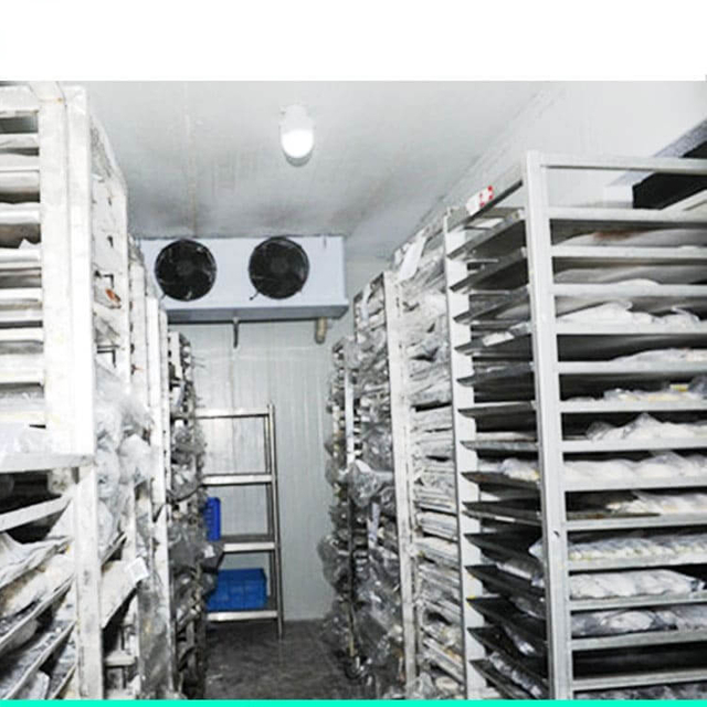 Deep freezer cold room