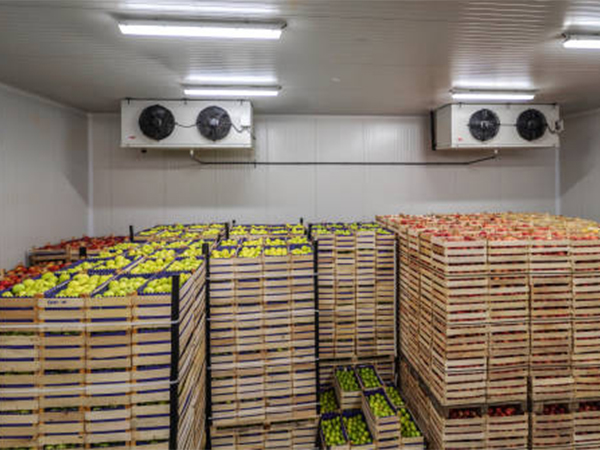 Scappatori vegetali --- 500 tonnellate