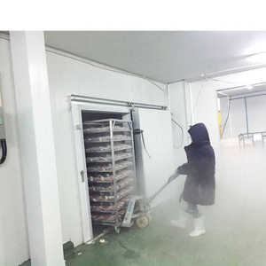 Blast freezer cold room
