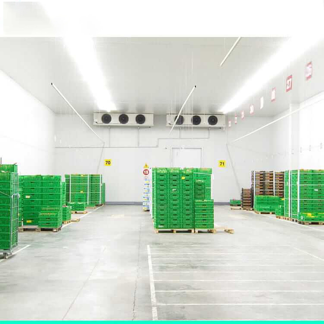 Freezer room
