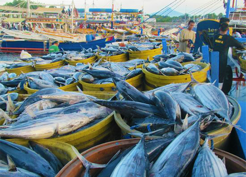 ငါး ports-and-processing- အဆောက်အအုံများ