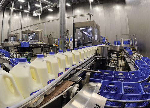 dairy-processing-plant