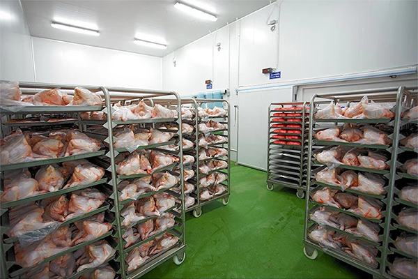 Chicken-Cold-Room-
